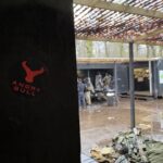 Phoenix Airsoft – Gameday Blog – 15/2/2026